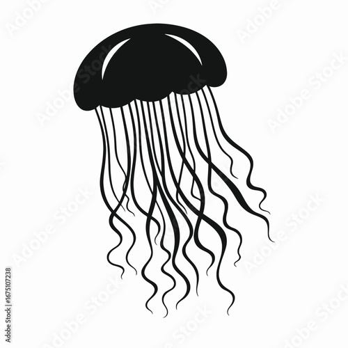 Elegant sea creature in black and white jellyfish silhouette