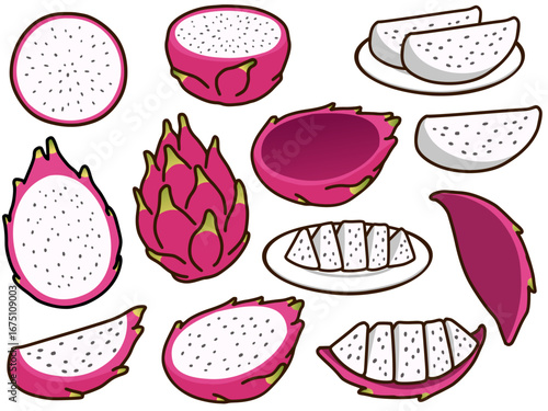 A collection of vibrant illustrations depicting whole and sliced dragon fruit, showcasing its pink skin and white flesh.