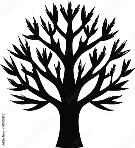 Striking silhouette of a bare winter tree branching out intricately creating a natural artful design