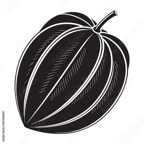 Black carambola Silhouette Vector, High Quality Illustration on White Background