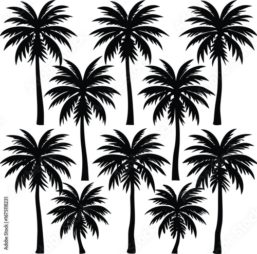 Collection of silhouetted palm trees for tropical beach paradise designs