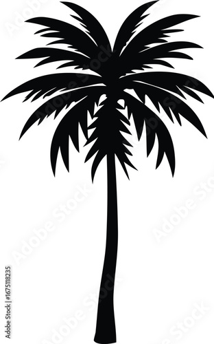Striking silhouette of a tall palm tree with lush fronds ideal for tropical beach themed designs and summer graphics