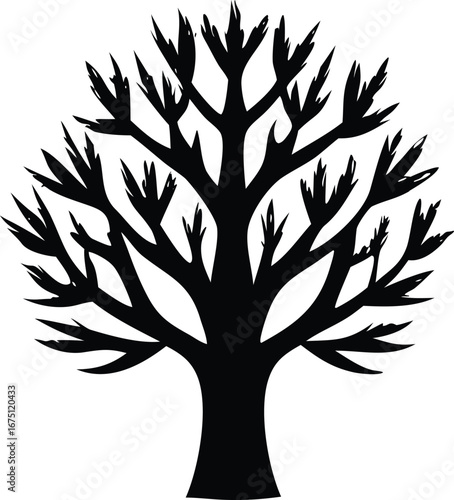 Silhouette of a bare deciduous tree with a strong trunk and spreading branches reaching outwards against a simple backdrop