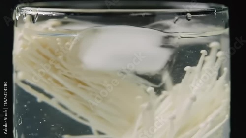 White mushroom in water with ice cubes