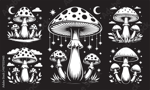 Mushroom Fungi Collection Nature's Woodland Wonders Botanical Illustrations Forest Floor