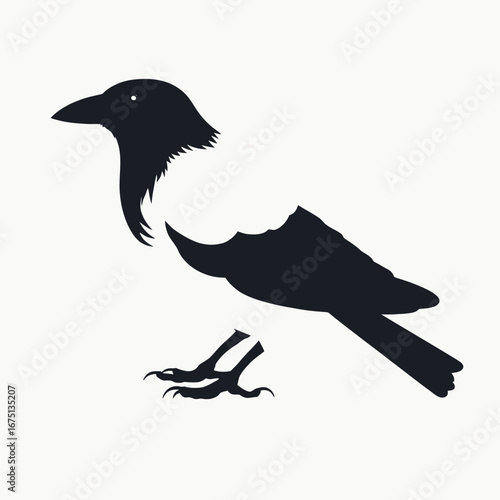 Mysterious raven with sleek black plumage shown in a dark silhouette