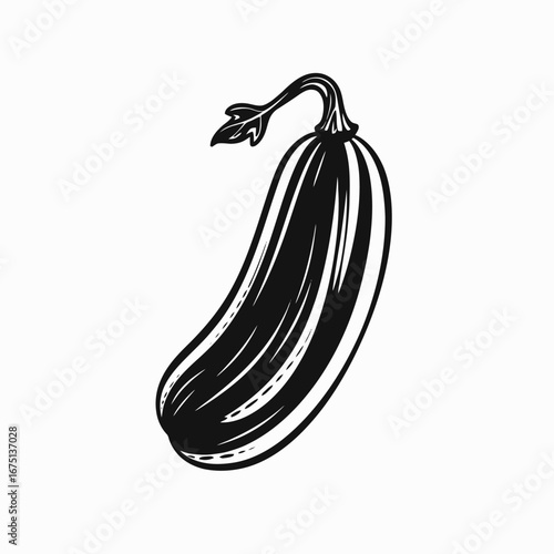 Elegant monochrome zucchini sketch with leaf on white background silhouette