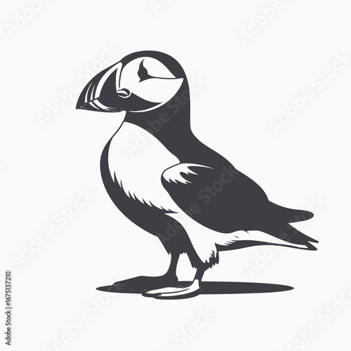 Striking puffin seabird graphic of wildlife vector art style silhouette