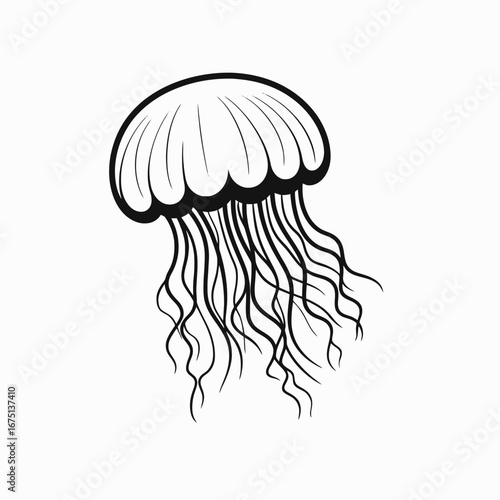 Striking jellyfish with long tentacles presents an captivating aquatic animal silhouette