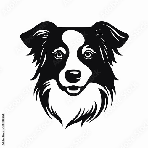 Striking border collie head with distinctive markings in black and white silhouette