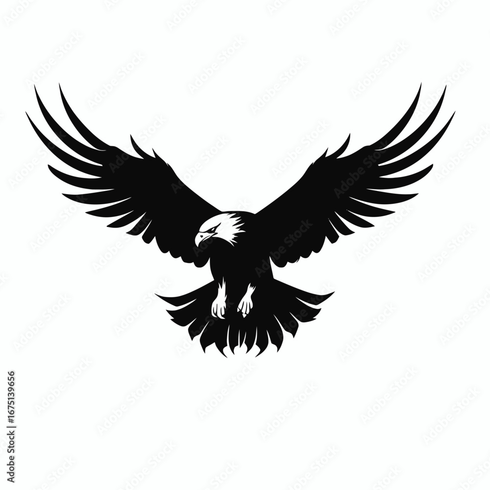 Fototapeta premium Bold eagle soars, displaying powerful wings in a black silhouette
