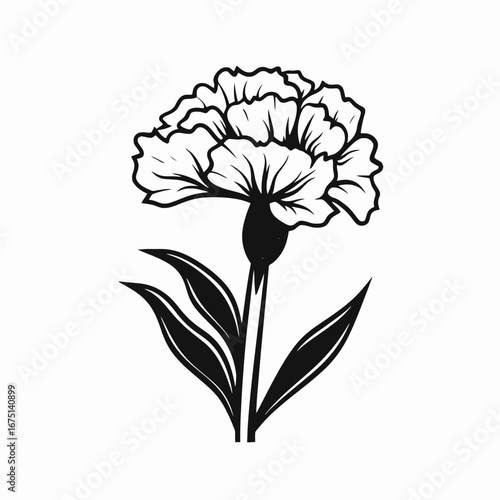 Exquisite carnation flower in elegant black and white botanical vector silhouette