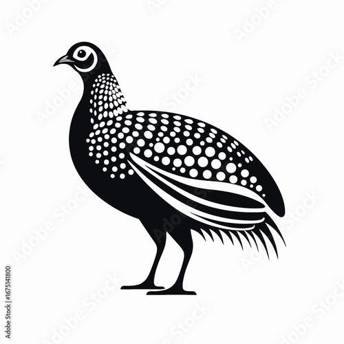 Guinea fowl striking and graceful bird illustration in sleek monochrome silhouette