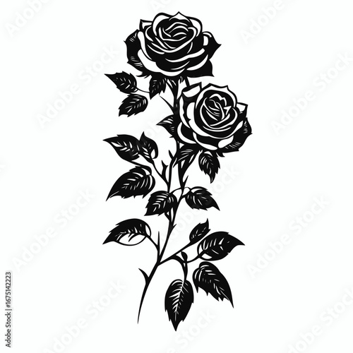 Two elegant rose blossoms gracefully depicted in striking black silhouette