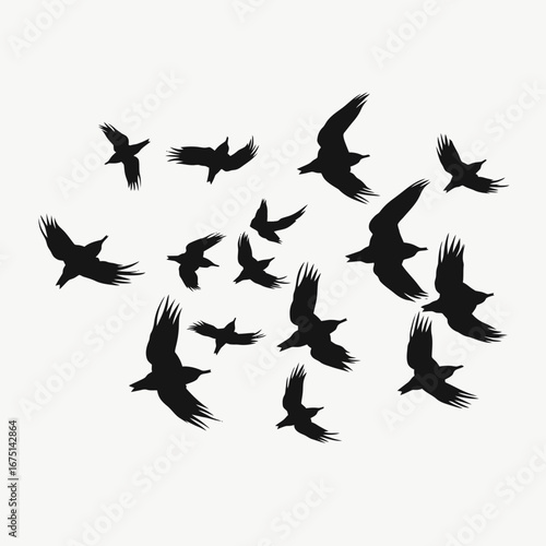 Flock of ravens soaring upwards in dark monochrome avian silhouette