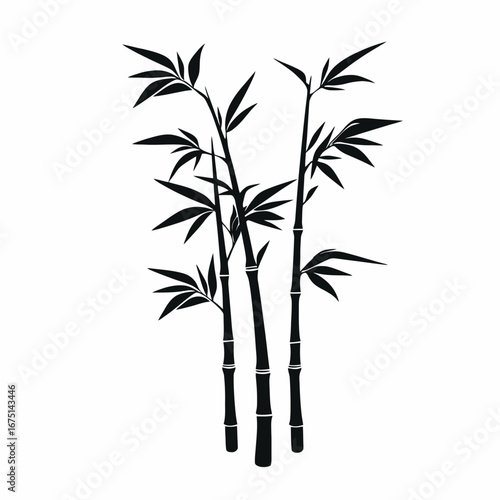 Three bamboo stalks together providing an exquisite botanical vector design silhouette