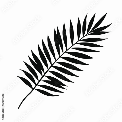 Exquisite tropical palm frond for sophisticated design, a sleek silhouette
