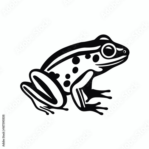 Elegant amphibian vector graphic frog, black and white decorative silhouette