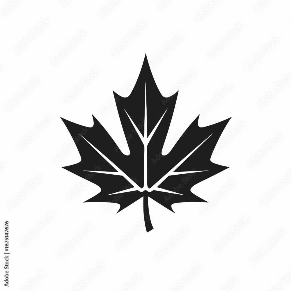 Fototapeta premium Striking maple leaf design, elegant Canadian symbol graphic silhouette.