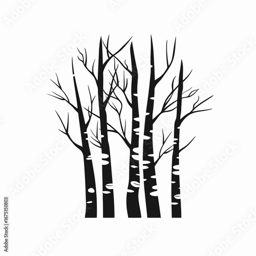 Graphic illustration of sparse birch trees for clean design silhouette