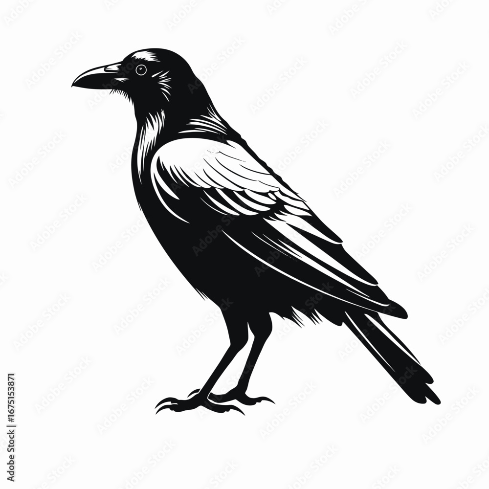 Obraz premium Majestic raven with intricate feather details depicted in striking monochrome silhouette