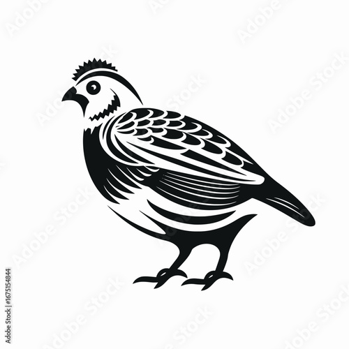 Striking fowl artwork presents detailed black and white vector bird silhouette