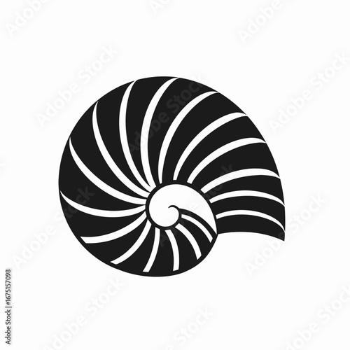 Elegant nautilus shell with geometric design creating a striking black silhouette