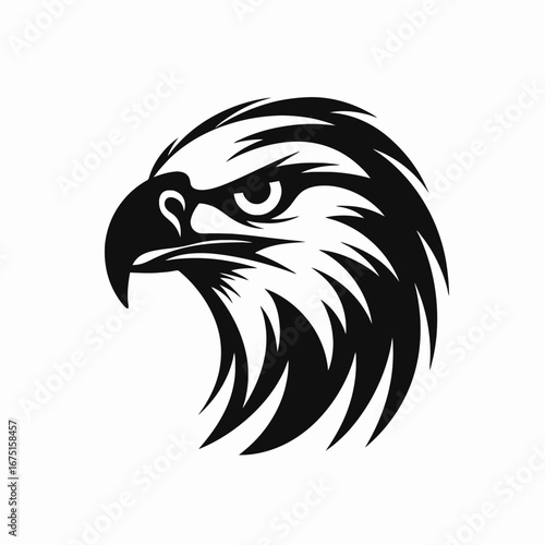 Majestic bird of prey showing intense eyes, eagle head, fierce silhouette