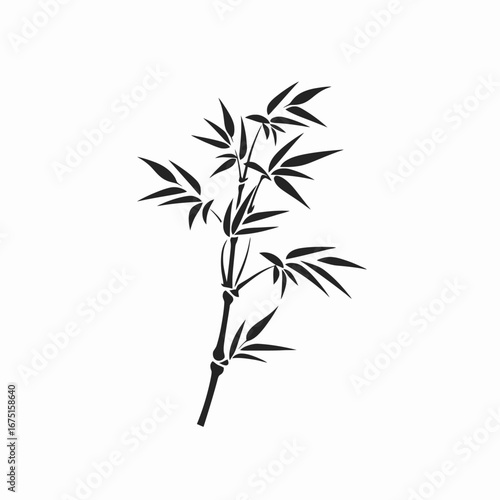 Elegant and stylish bamboo stalk and leaves botanical illustration silhouette