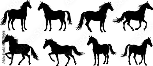 Black Horse Silhouettes in Various Poses