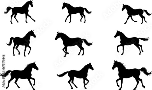 Black Horse Silhouettes in Various Poses