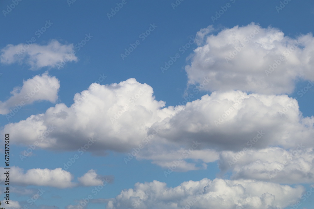 Obraz premium 夏の空。白い雲。