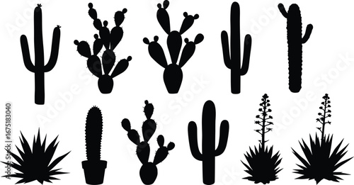 Cactus silhouette collection, desert plants black vector illustration, tropical cactus icon set, succulent shapes, agave, aloe, saguaro, prickly pear, nature design
