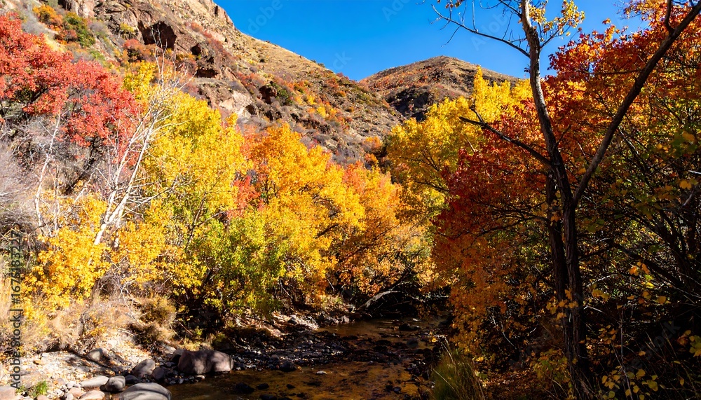 Fototapeta premium Autumn Canyon Scenic View