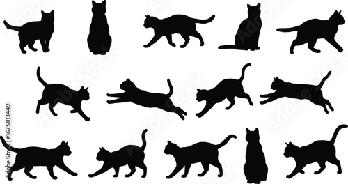 Cat silhouettes, black cat, walking cat, sitting cat, jumping cat, running cat, domestic pet, feline vector, animal design, artwork illustration