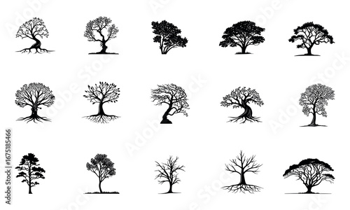 Tree set vector in silhouette on white background. Trees collection. Various tree vectors. Forest and nature concept. Collection of different tree symbols.
