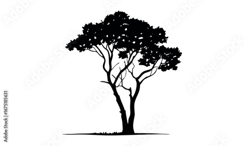 Black tree silhouettes collection. Single tree vectors. Tree in silhouette. Various tree vectors. Forest and nature concept. Collection of different tree symbols.