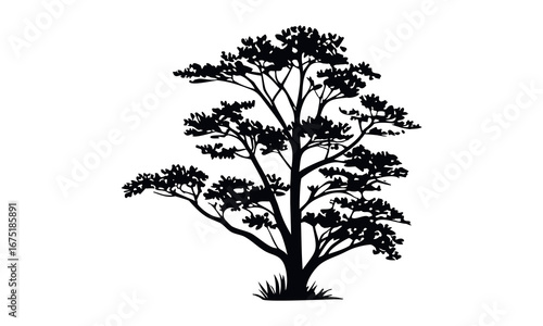 Black tree silhouettes collection. Single tree vectors. Tree in silhouette. Various tree vectors. Forest and nature concept. Collection of different tree symbols.