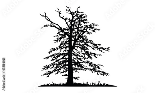 Black tree silhouettes collection. Single tree vectors. Tree in silhouette. Various tree vectors. Forest and nature concept. Collection of different tree symbols.