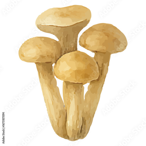 Yellow Cluster Mushroom Illustration for Nature Art Projects