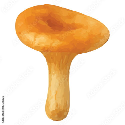 Wavy Orange Mushroom Illustration for Nature Design Works