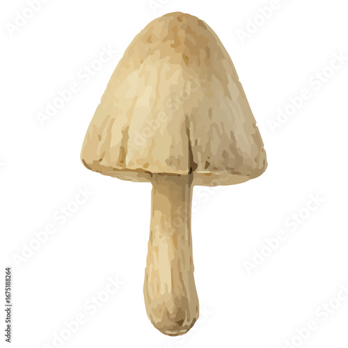 Elegant Beige Mushroom Illustration for Nature Decor Art