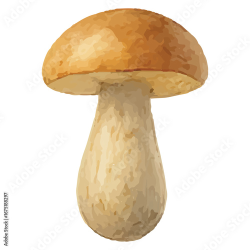 Classic Brown Mushroom Illustration for Nature Design Works