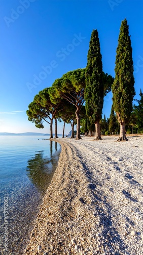 Wallpaper Mural Lakeside tranquil scene with tall pines Torontodigital.ca