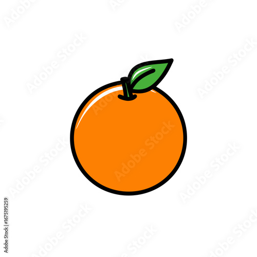 vector illustration of orange fruit