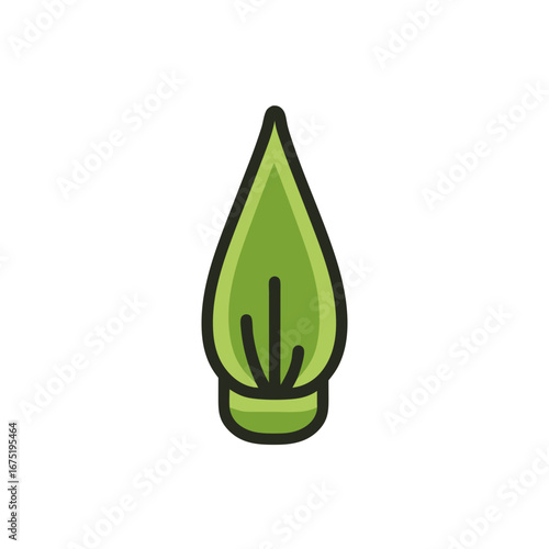 drop of water on green leaf