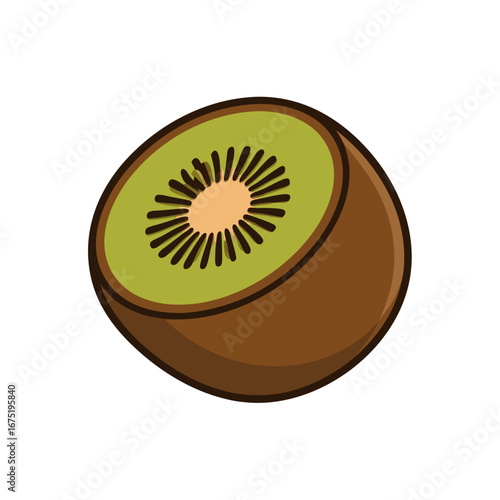 kiwi fruit on white background