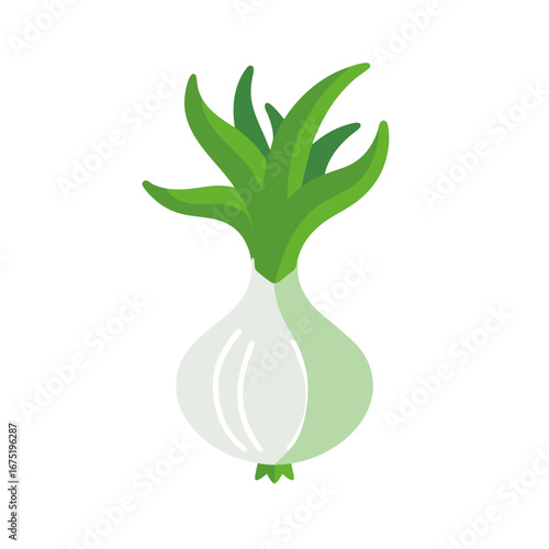 green onion isolated on white background