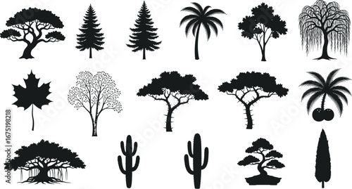 Tree silhouette collection, nature forest illustration, palm cactus bonsai pine, black vector design, tropical landscape element, botanical shape, plant outline