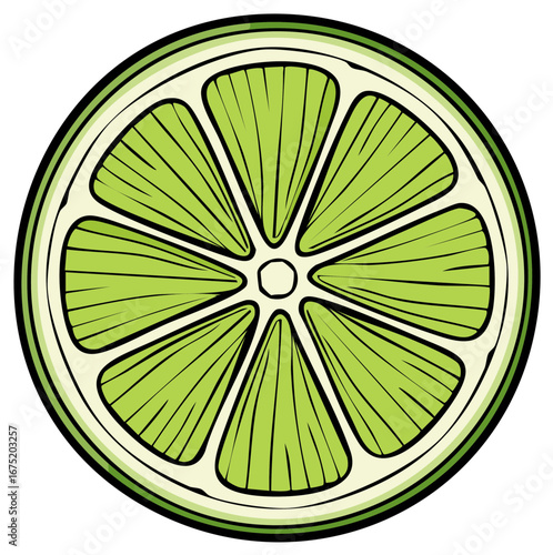 Green Lime Slice Citrus Fruit Food Graphic